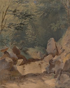 Paysage forestier avec rochers